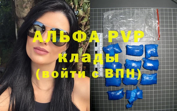 амф Белокуриха