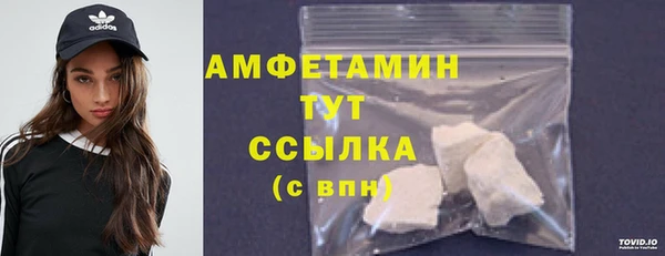 гидра Богданович