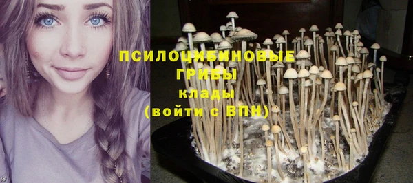 гидра Богданович