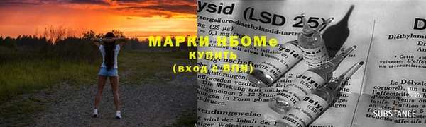 гидра Богданович